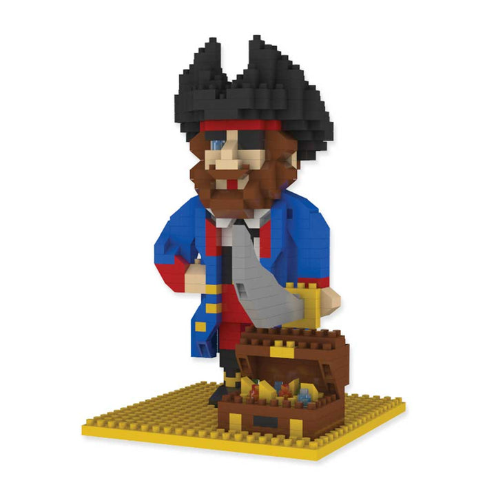 Pirate Mini Building Blocks Kit