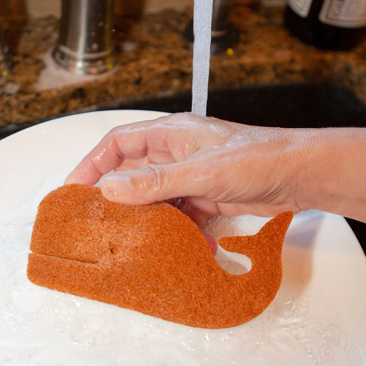 Whale Scrub Sponges